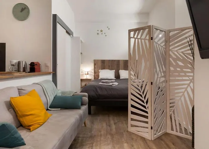 Apartament La Dimiere - De Standing En Hyper-centre - *